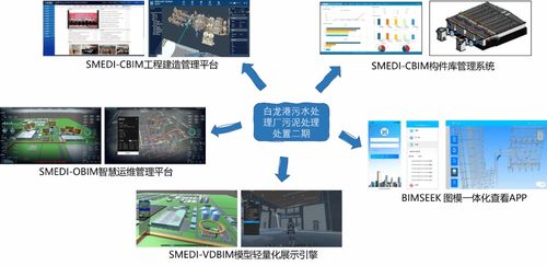 數字賦能，青春筑夢 上海建工市政總院數字院青年團隊的創新與實踐